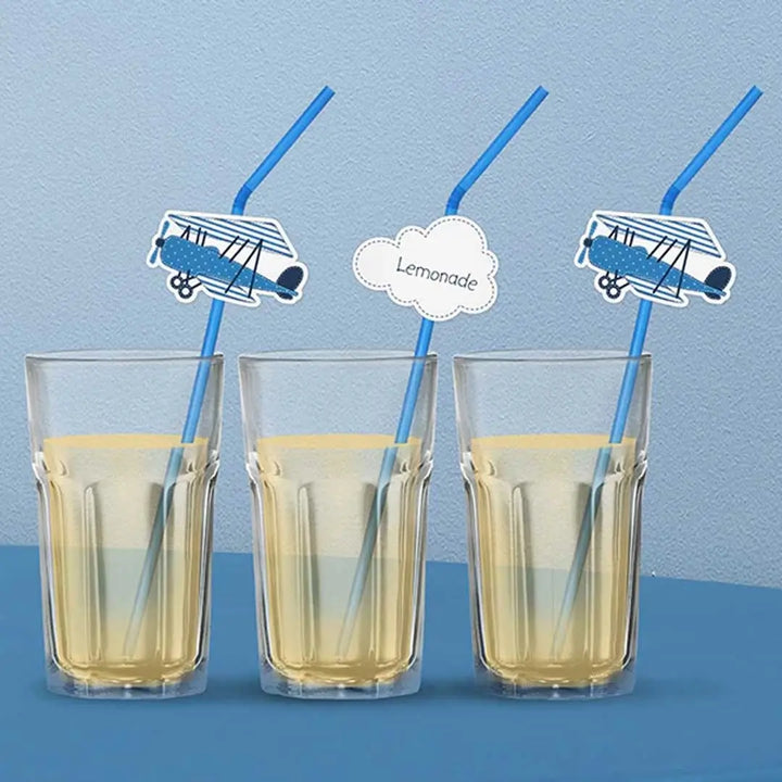 Little Plane Straws 3