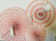 Decorative Rosettes