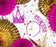 Decorative Rosettes, gold