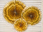 Decorative Rosettes, gold