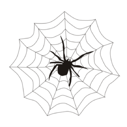 Spider Web